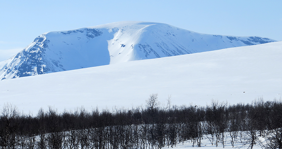 Böljande snöklädda fjäll med lite träd. I bakgrunden ser man ett mer dramatiskt snöklätt fjäll resa sig mot den blå himlen.