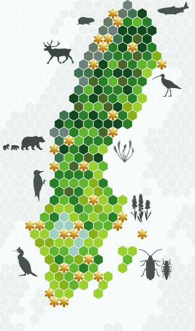 Karta över Sverige och dess nationalparker