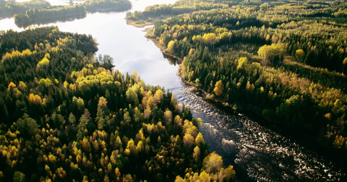 Färnebofjärdens nationalpark