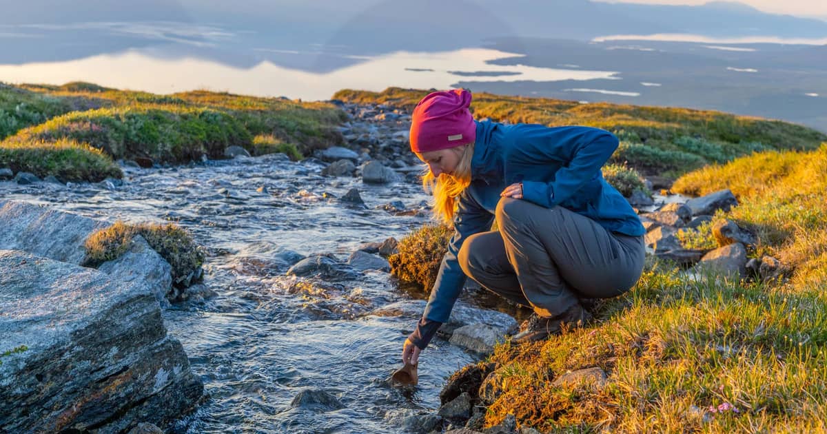 Things to do | Abisko National Park | Sweden's national parks