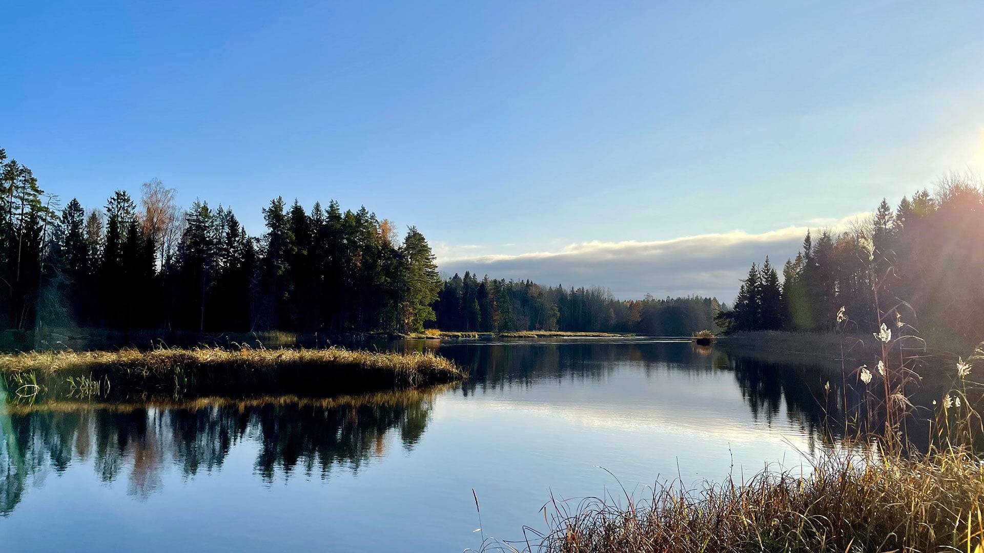 Utsikt längs Bändanslingan i Färnebofjärdens nationalpark.