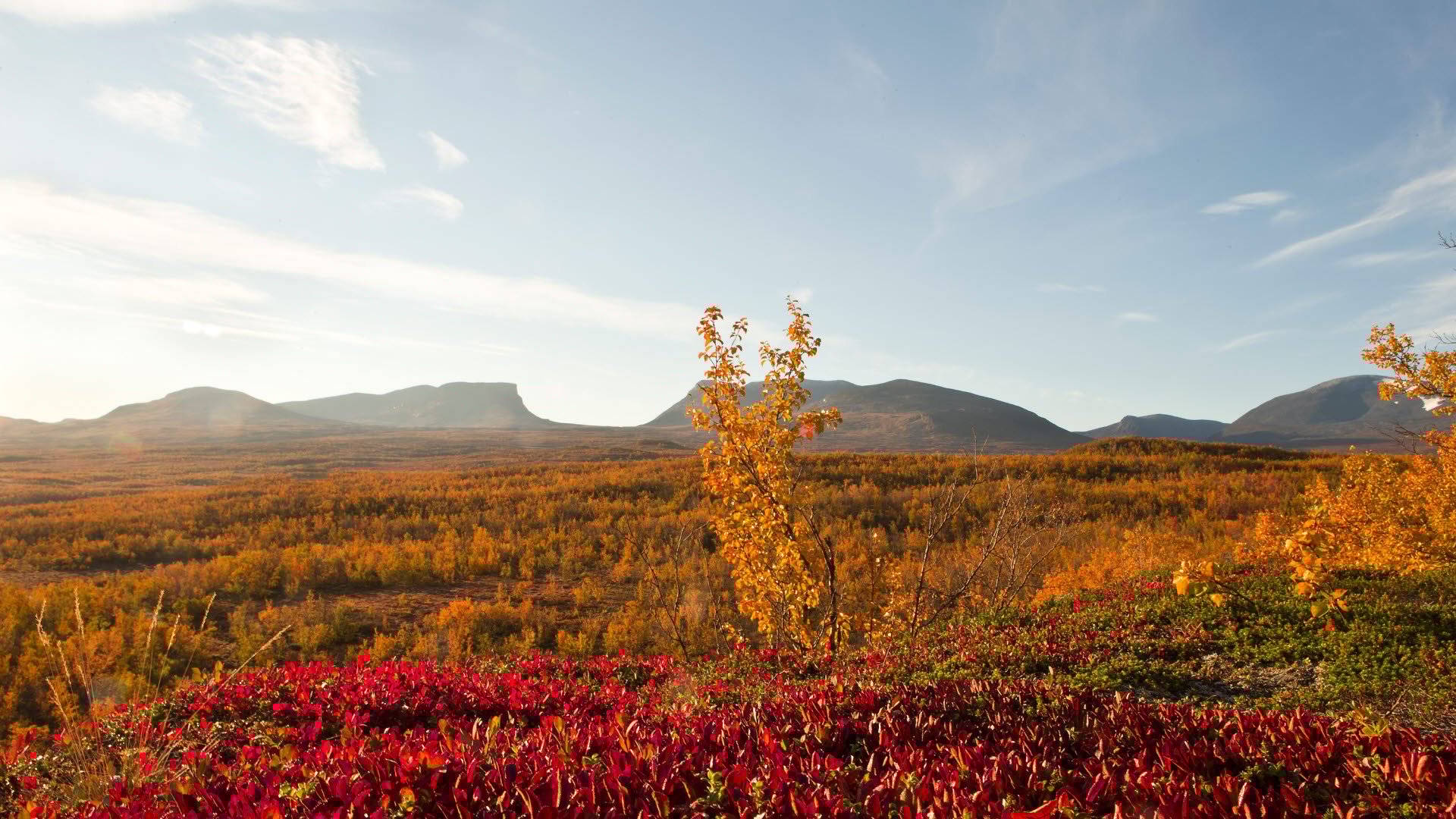 Abisko nationalpark