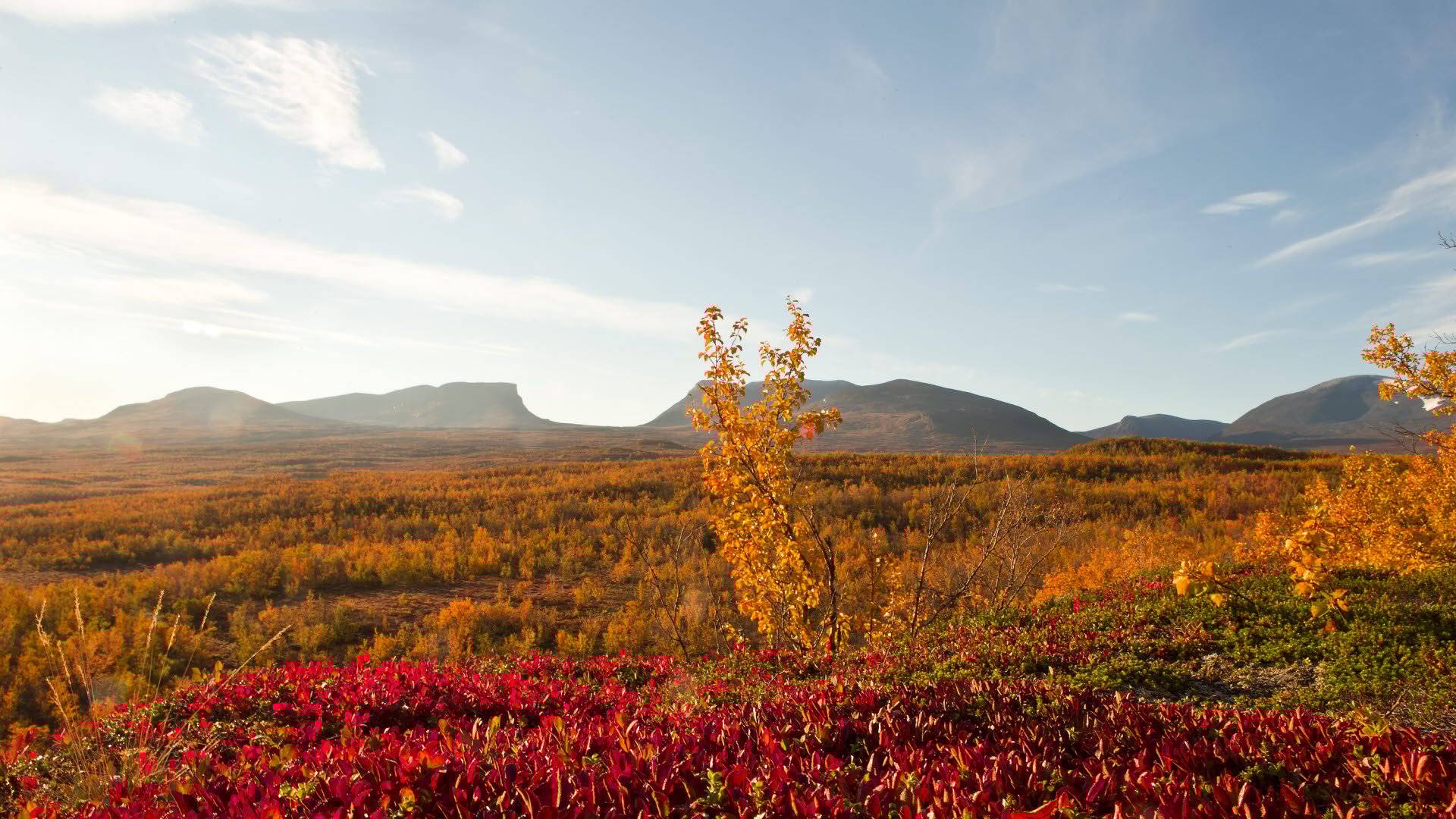 Abisko National Park