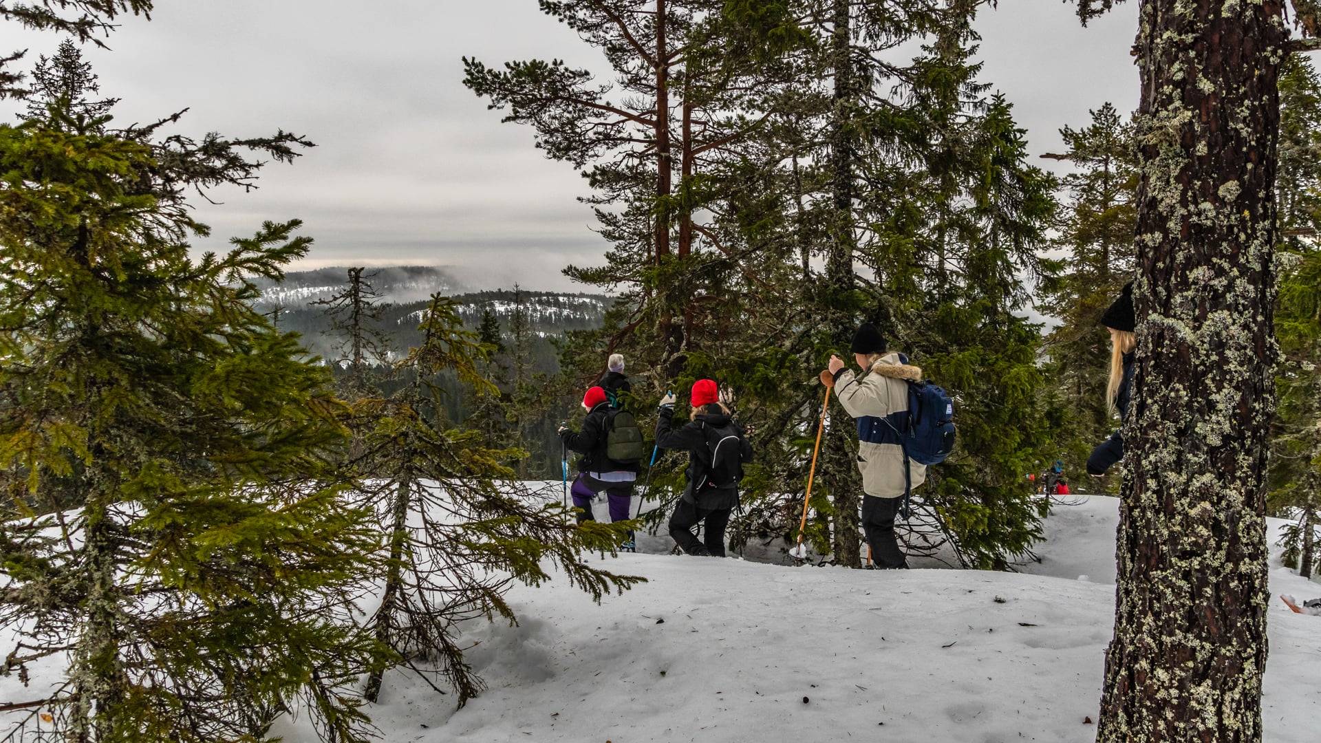 Foto av flera personer som vandrar på snöskor genom skogen.
