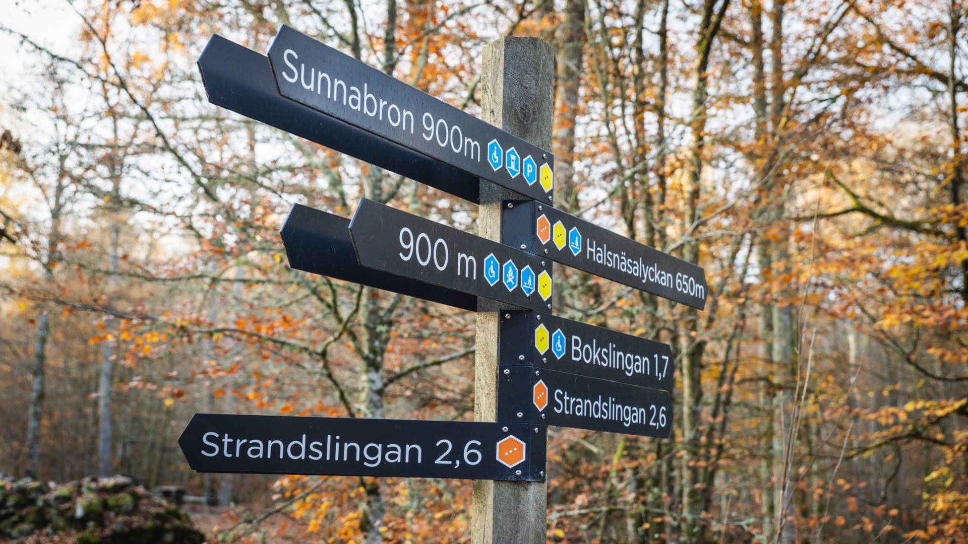 Vägvisare med information om olika vandringsleder. Åsnens nationalpark, Sverige.