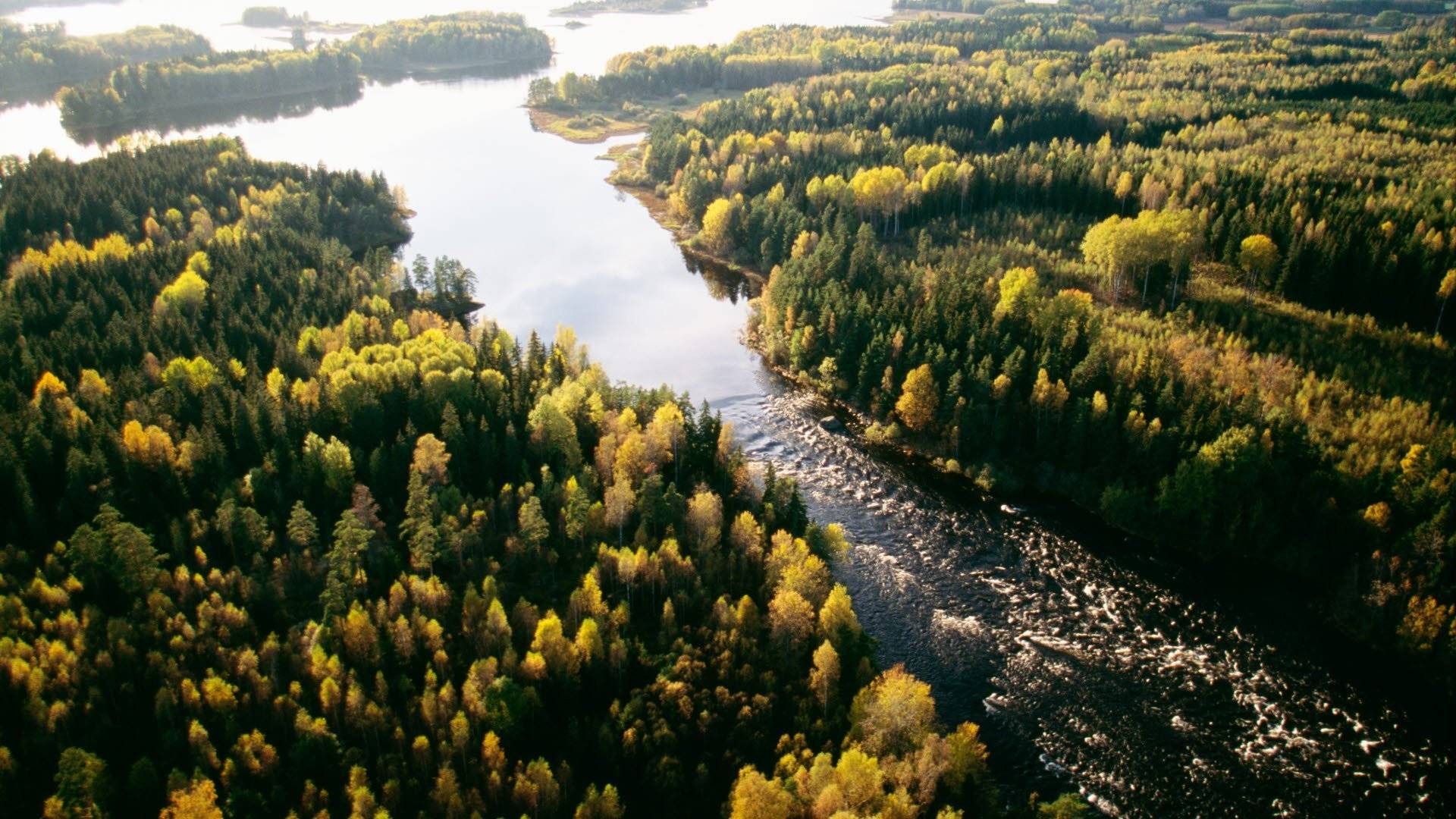 Färnebofjärdens nationalpark