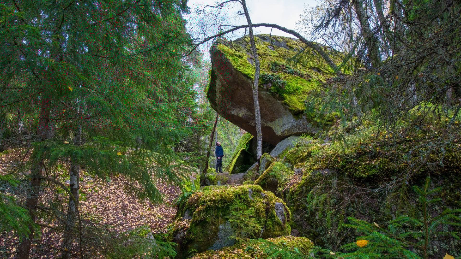 Besökare som står intill ett stort stenblock i Tivedens nationalpark. 