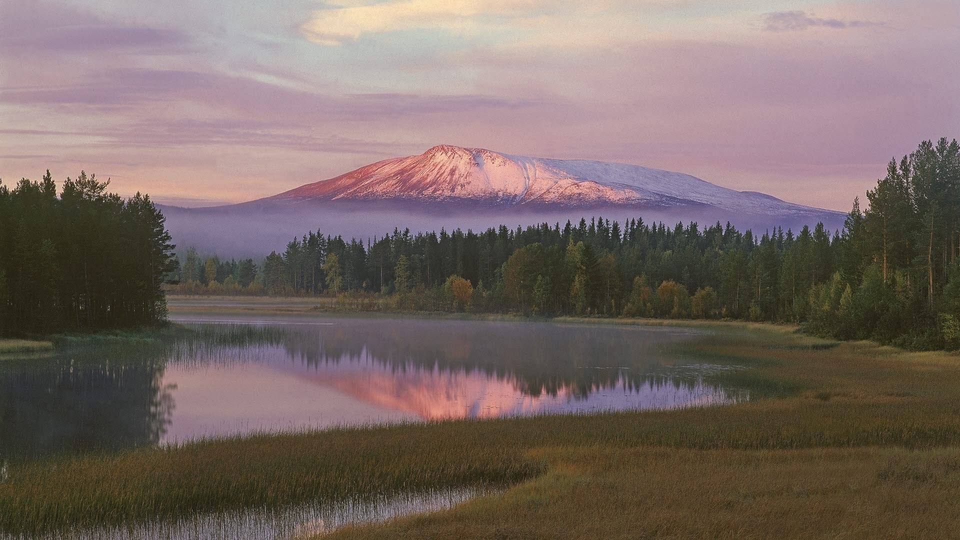 Sonfjällets nationalpark