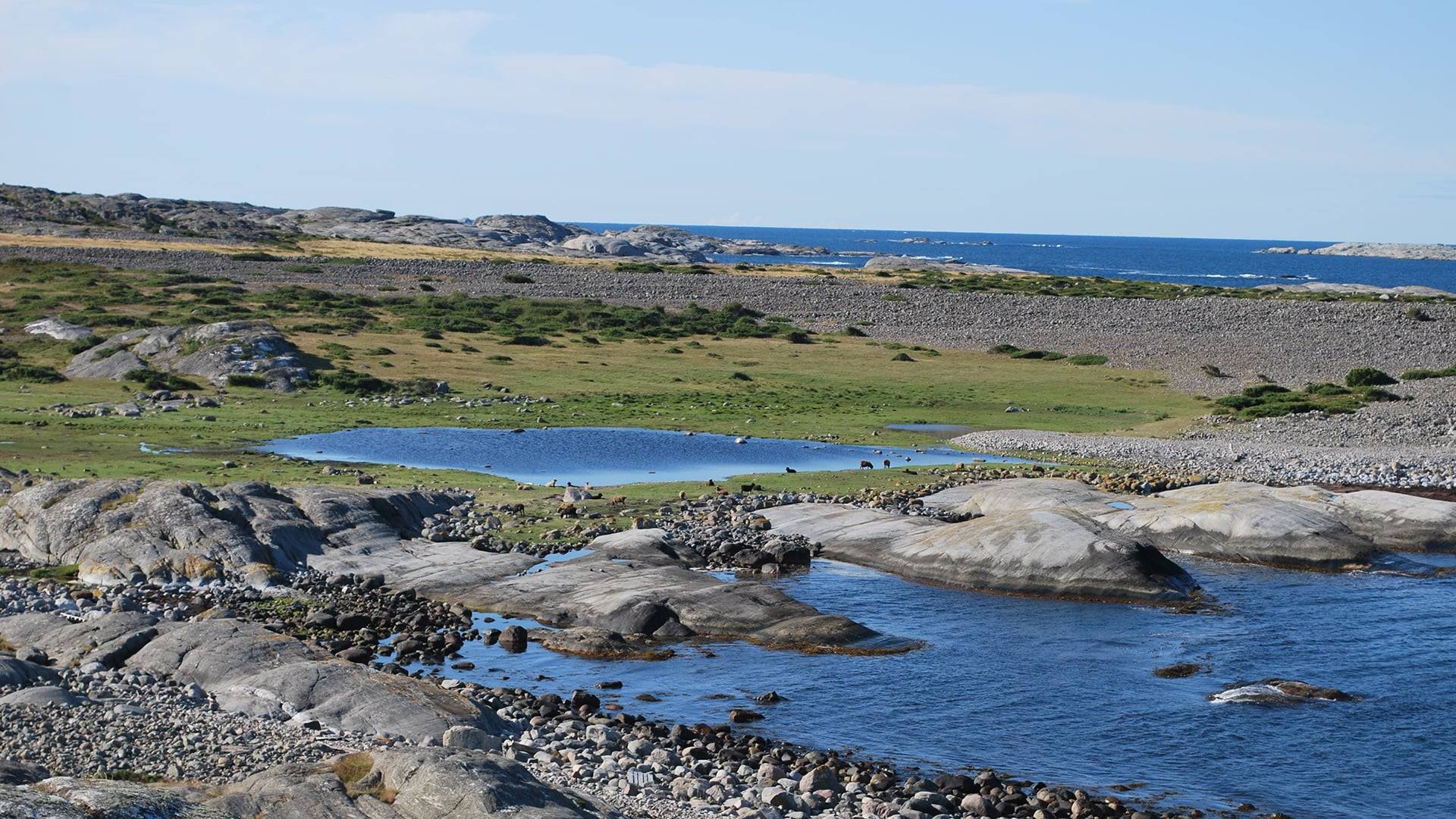 Klippor och betade ängar på Valnäs, Nordkoster
