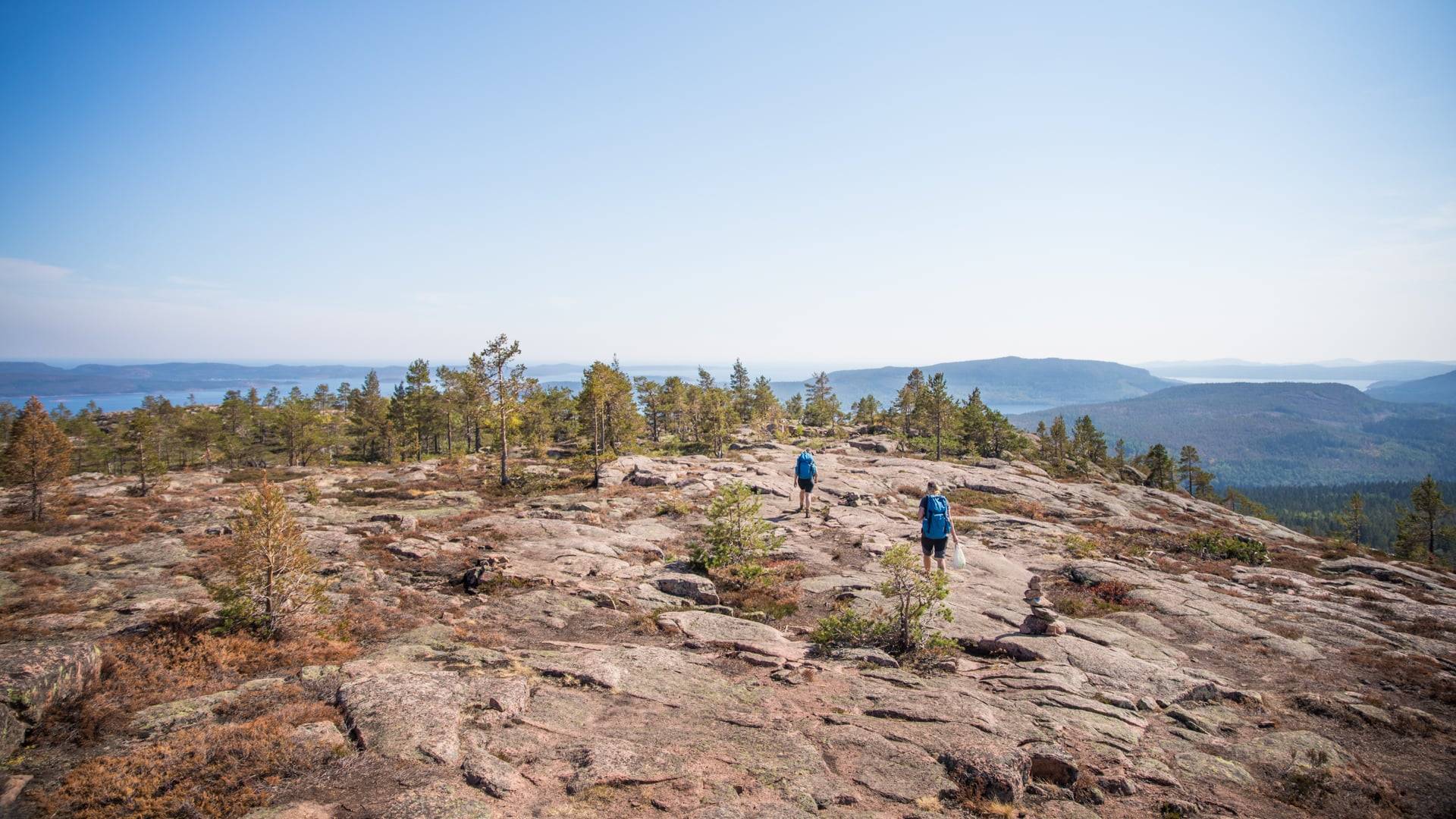 Foto av två personer som vandrar över en bergstopp.