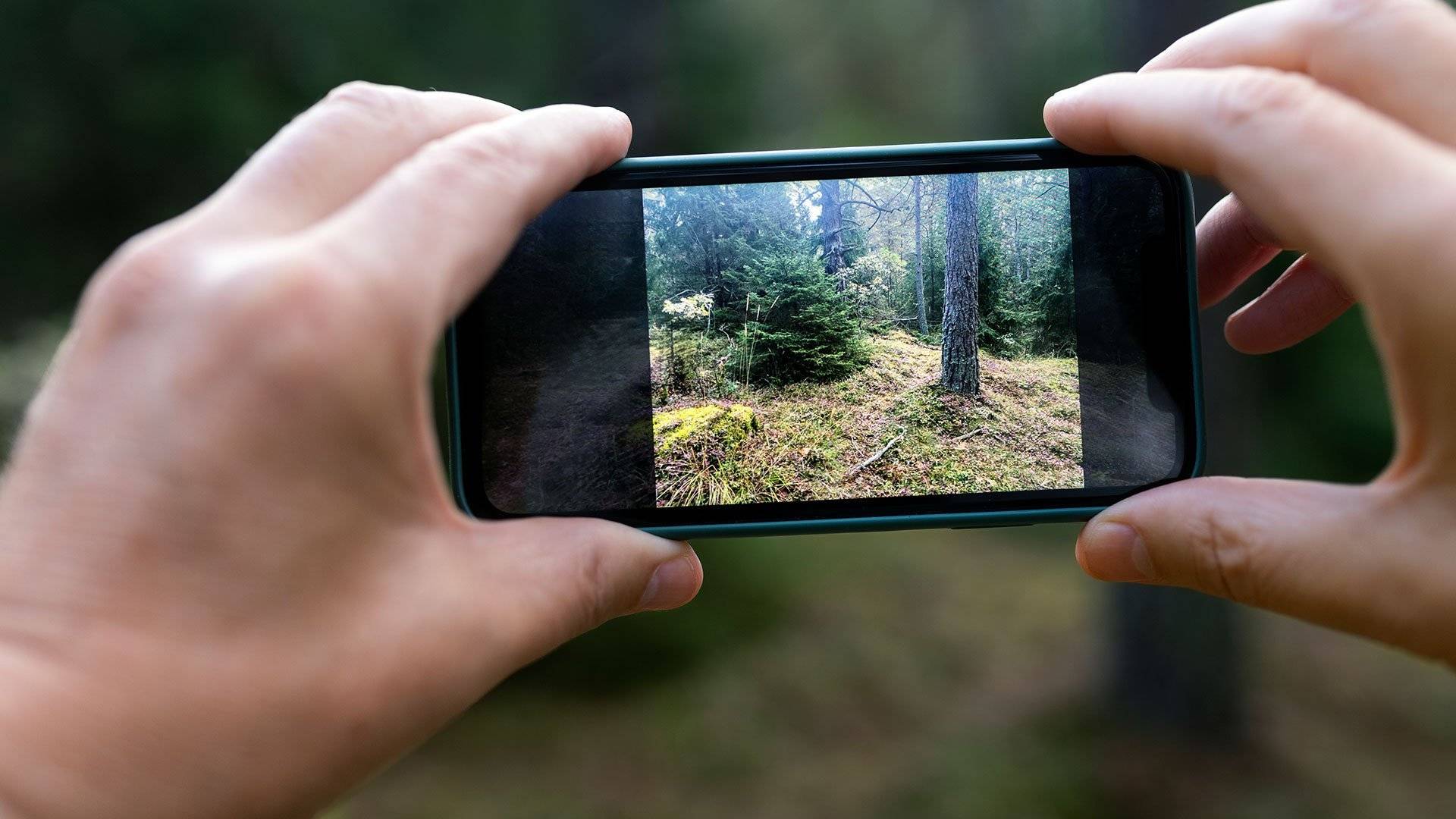 Person fotar med mobil i skog, Stockholm.