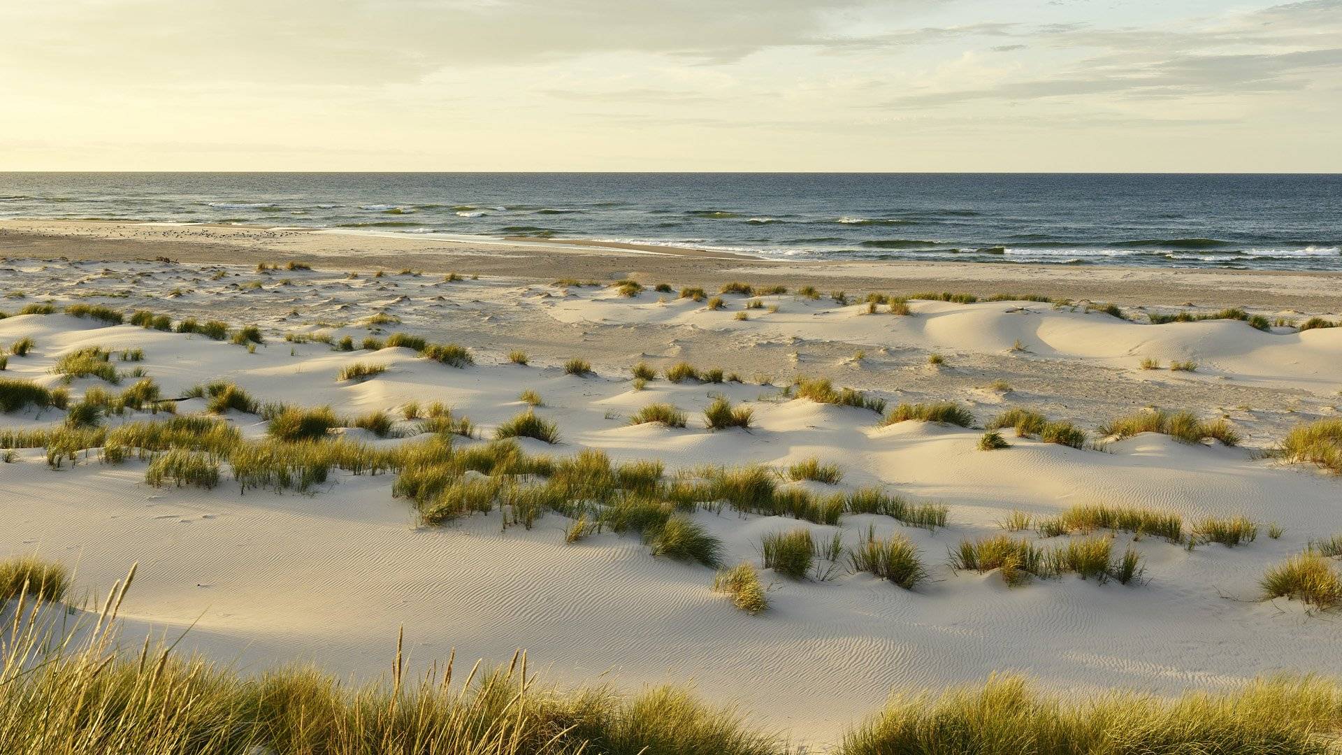 Gotska Sandön National Park