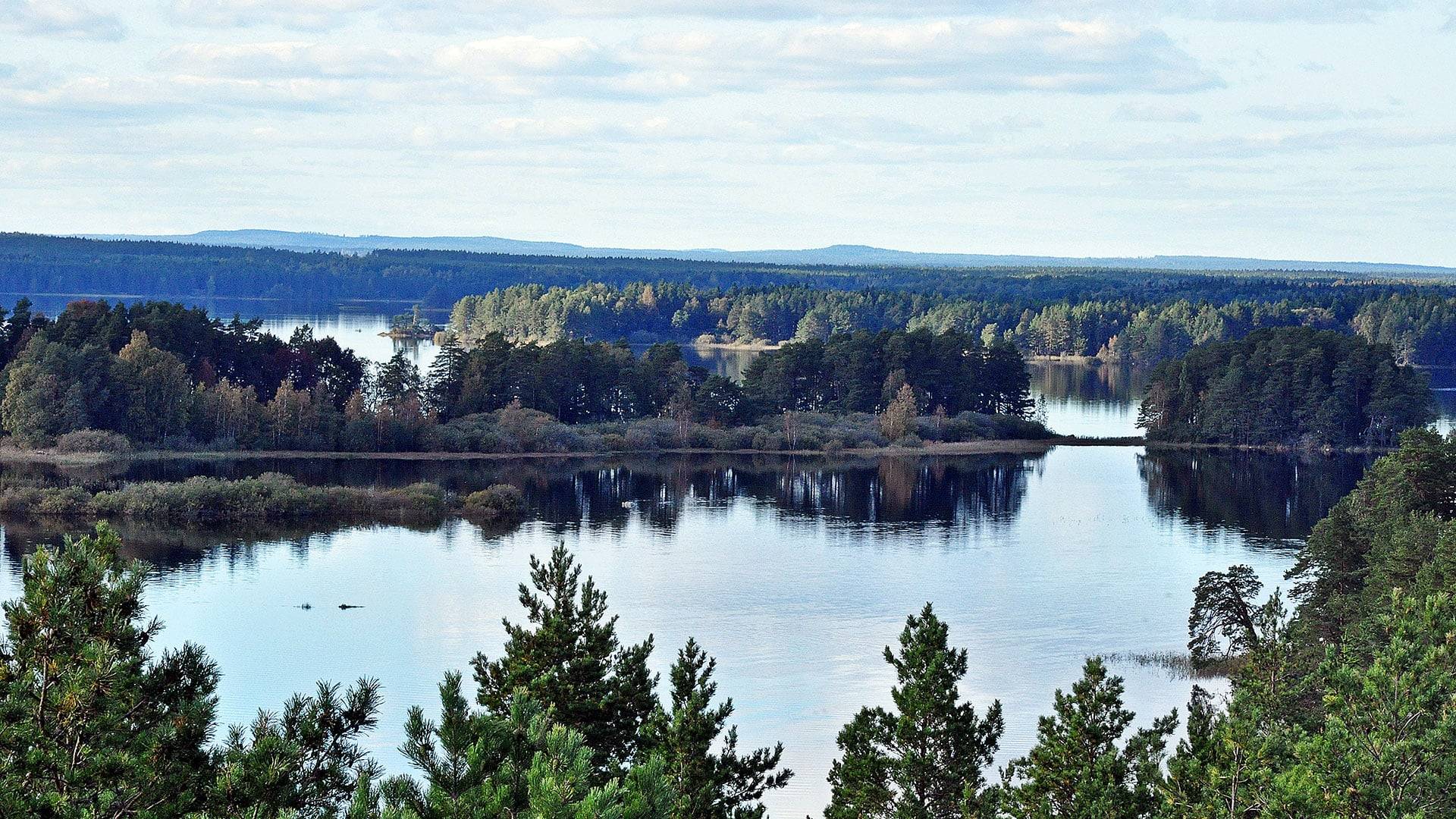 Desirée Wedin Utsikt från Skekarsbotornet i Färnebofjärdens nationalpark.
