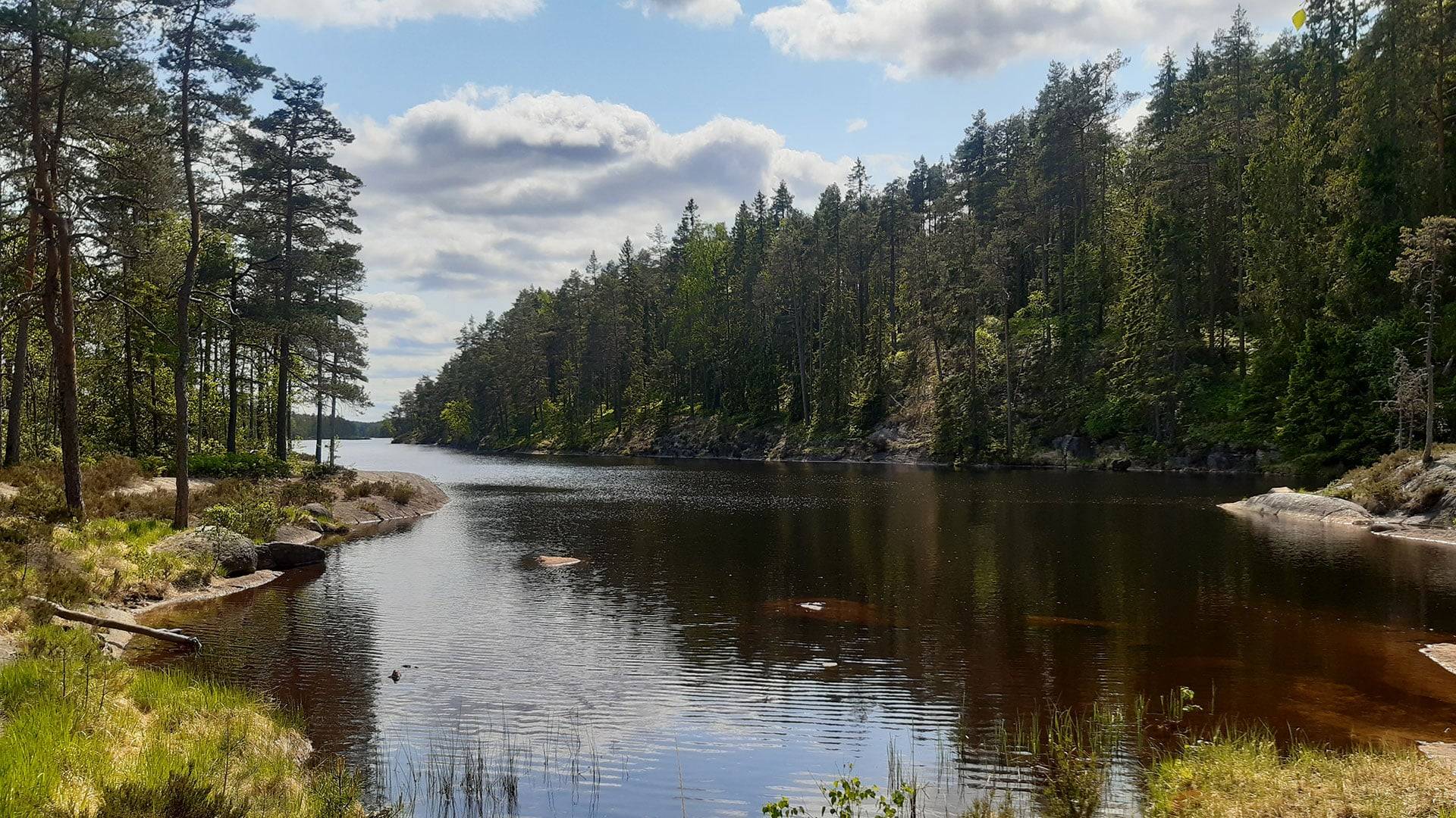 Tresticklans nationalpark