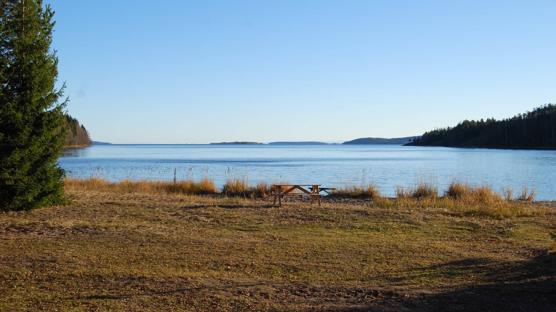 Foto av ett rastbord vid stranden.