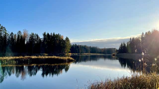 Utsikt längs Bändanslingan i Färnebofjärdens nationalpark. 