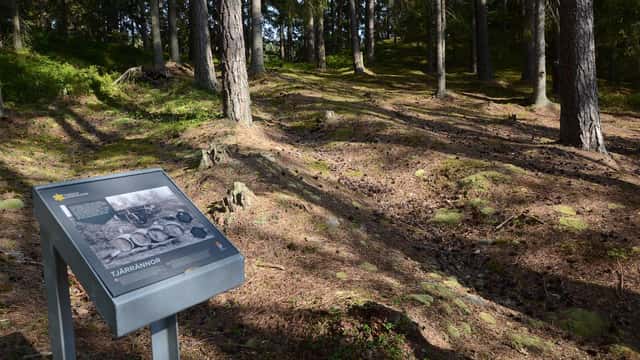 Skylt om "Tjärränna" intill svackor i marken i skogsmiljö