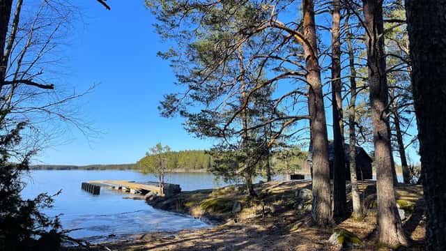 Brygga vid strand i tallskog, med utsikt över en lugn sjö och skogsklädda öar.