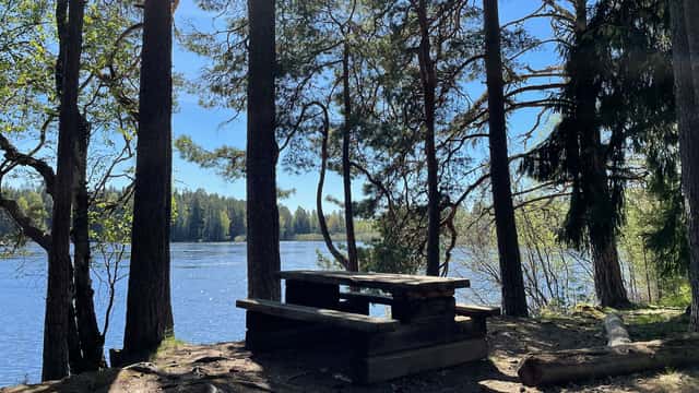 Rastplats med bord och bänkar vid sjöstrand, omgiven av tallskog och med utsikt över vattnet i Färnebofjärdens nationalpark. 