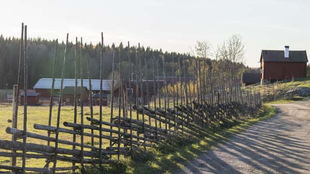 Gärdesgård vid väg och hus, Tyresta