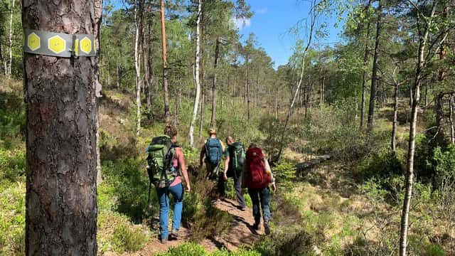 Stefan Husar Tre personer med ryggsäckar vandrar längs en markerad led genom skogslandskap i Tresticklans nationalpark.