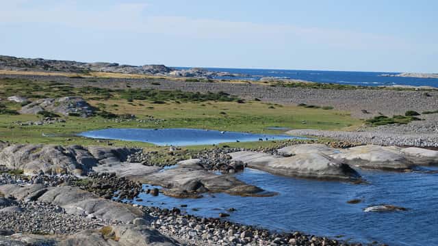 Klippor och betade ängar på Valnäs, Nordkoster