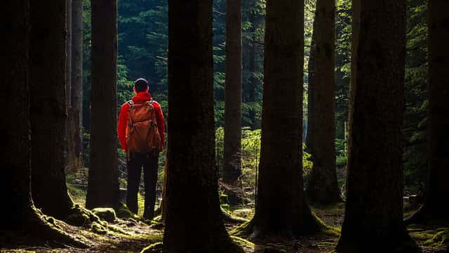 Man står i skogen, Balltorp.