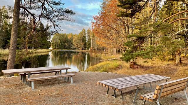 Rastplats med bord och bänkar vid en stilla skogssjö omgiven av höstfärgade träd i Färnebofjärdens nationalpark. 