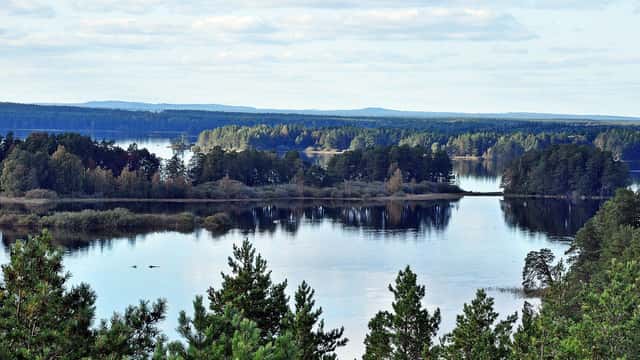 Desirée Wedin Utsikt från Skekarsbotornet i Färnebofjärdens nationalpark.