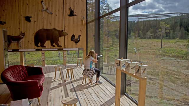 Naturum Fulufjället