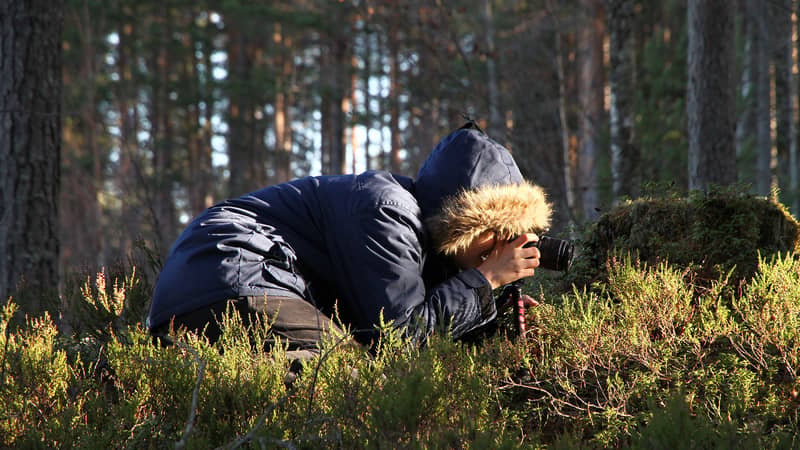 Person ligger i skogen och fotograferar på nära håll bland växter och mossa.