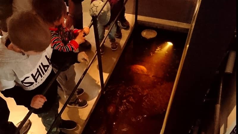 Karin Haulin Tre barn slänger ner fiskmat i en bassäng i golvet.