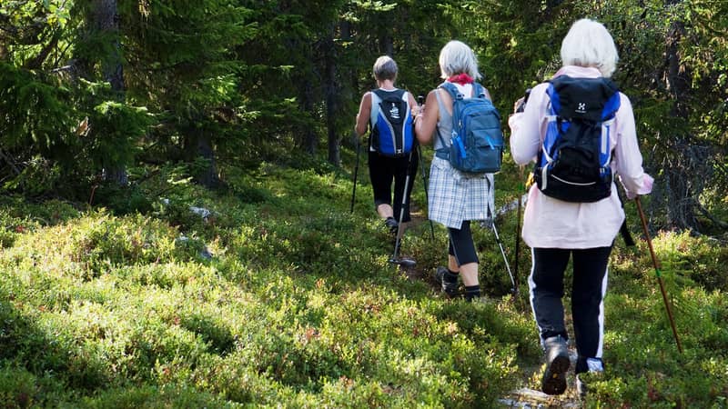 Tre personer vandrar i skogen, Grövelsjön, Dalarna. 