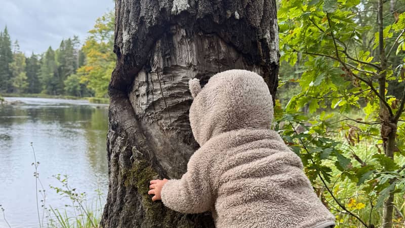 Linnea Nedar Ett barn sitter intill ett träd vid strandkanten.