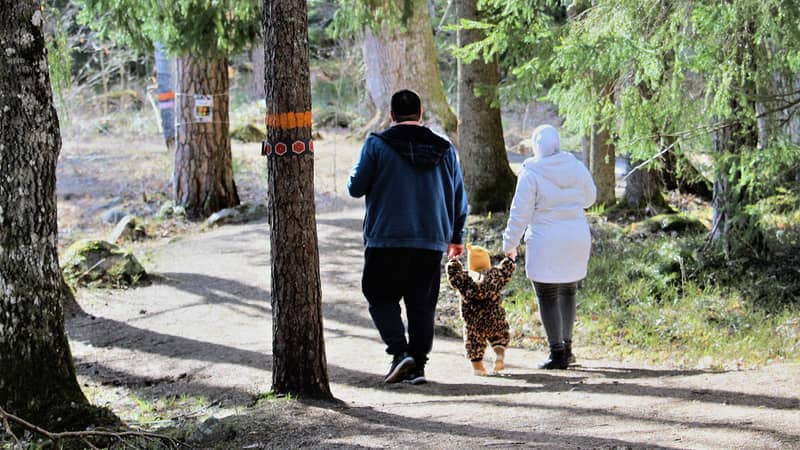 Två vuxna och ett barn går tillsammans längs en skogsstig, omgivna av granar och märkta träd i ett solbelyst skogsområde.