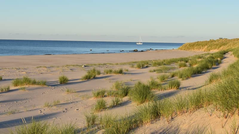 Bredsands udde på Gotska Sandön med gräsbevuxna sanddyner. I bakgrunden syns en segelbåt ute på det lugna havet, under klarblå himmel. Gotska Sandöns nationalpark, Gotland, Sverige.