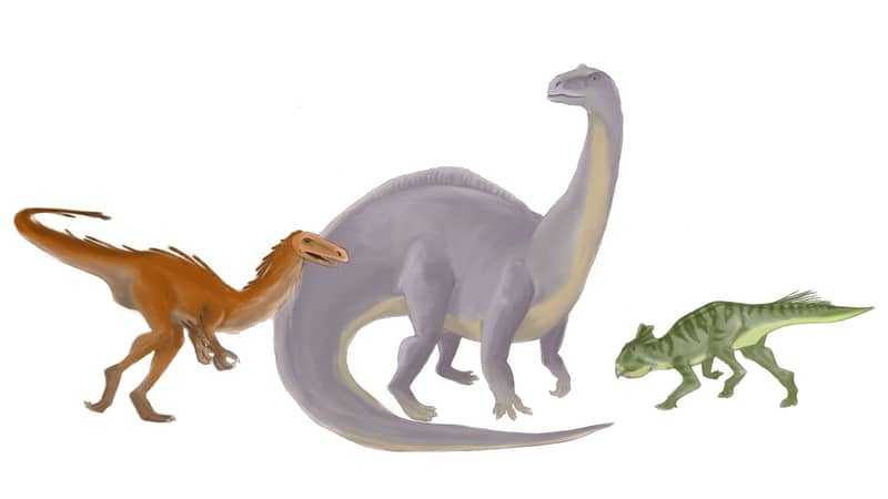 Illustration av tre dinosaurier på vit bakgrund.