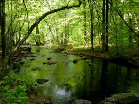 Sommergrün umgebener Fluss Skärån 