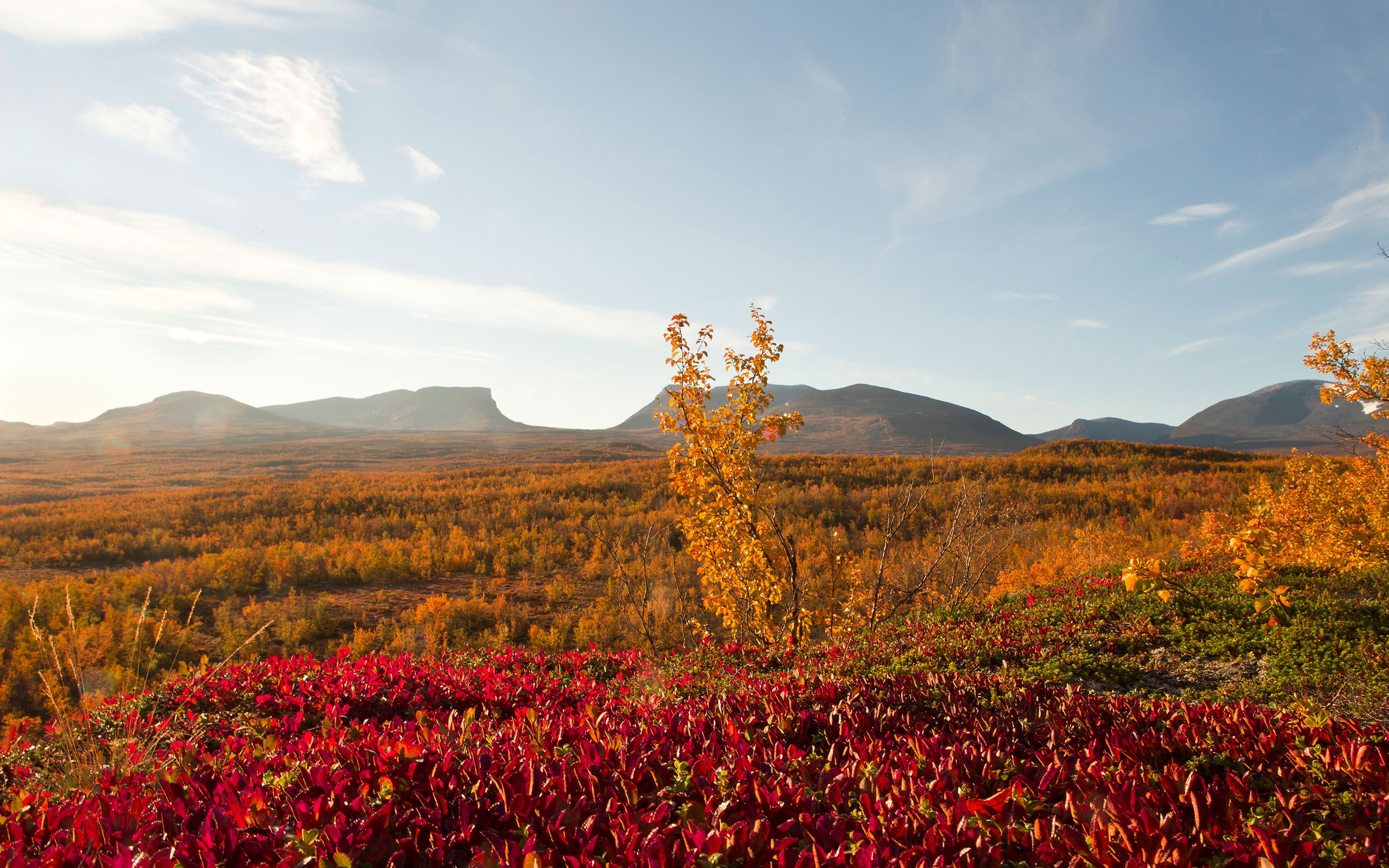 Fjällandskap i höstfärger.