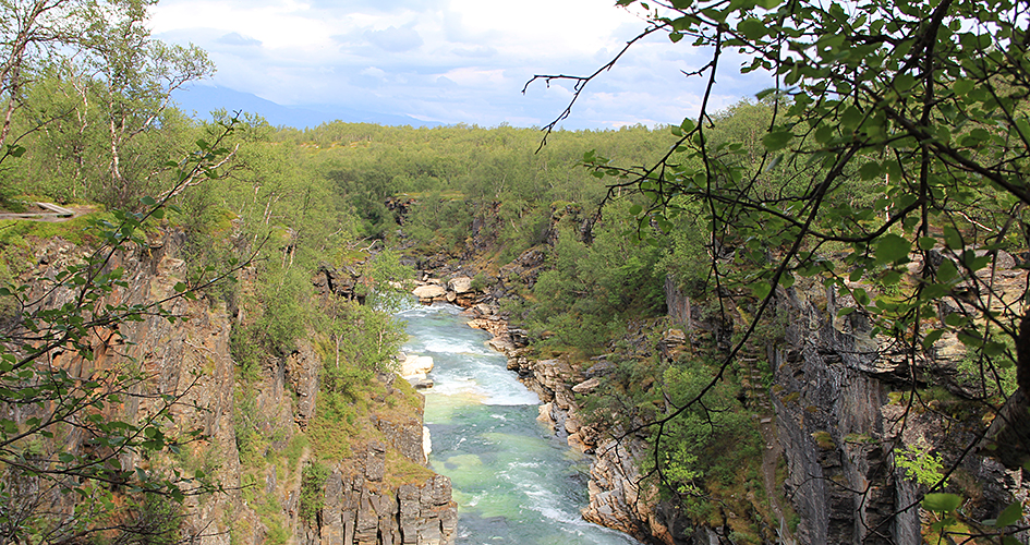 The river Abiskojåkka rushes forward in a canyon.