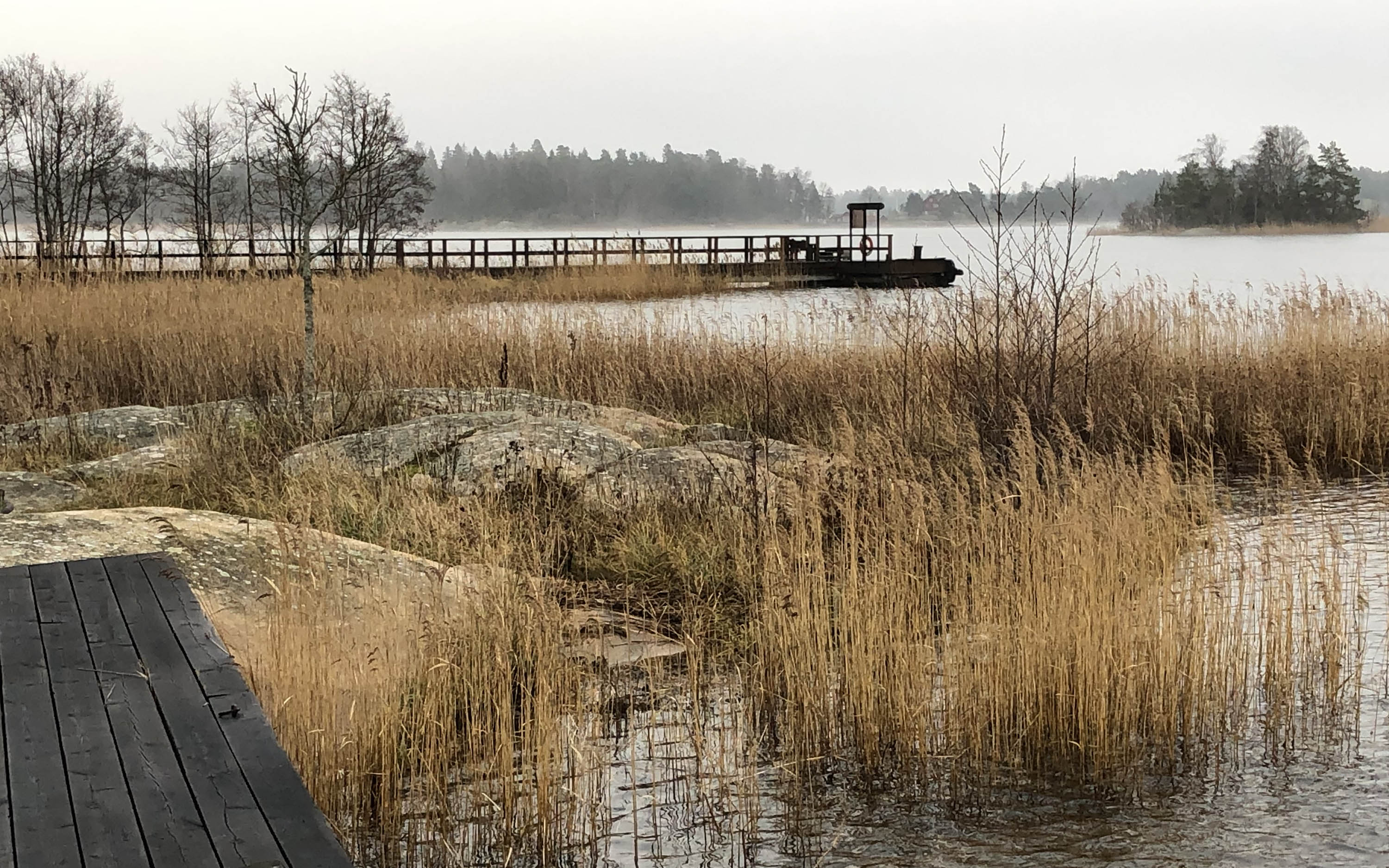 Sen höst i Ängsö nationalpark