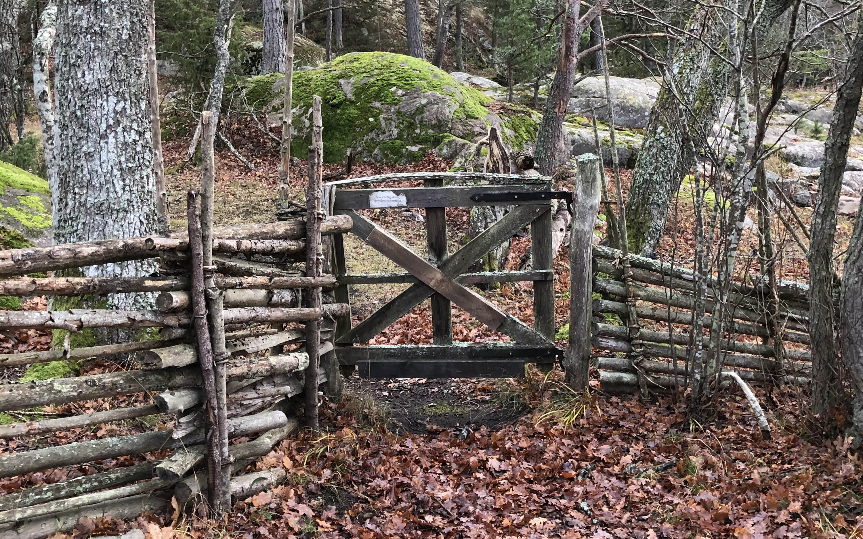 Höstvandring längs stigarna i Ängsö nationalpark