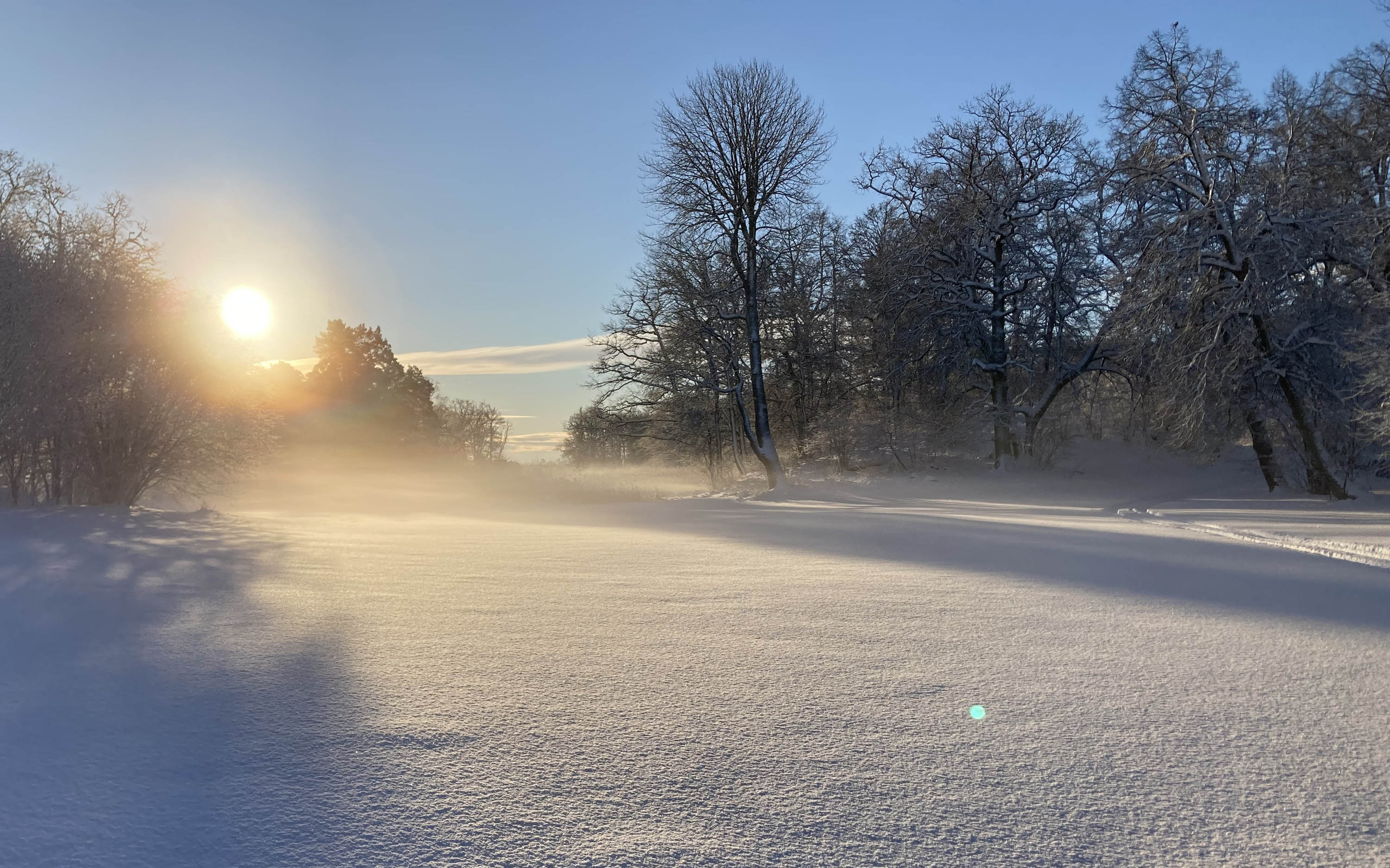 Ängar i vinterskrud, Ängsö nationalpark