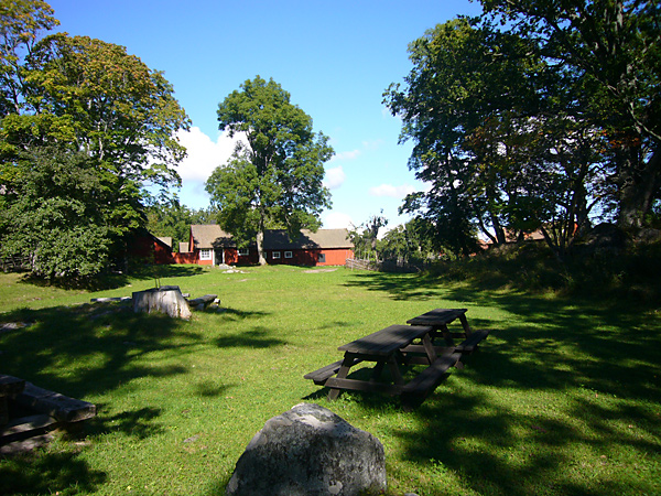 Gräsområde med två rastbord omgivna av lövträd.