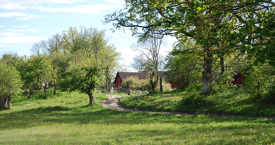 A girl walks on country road in meadow landscape.