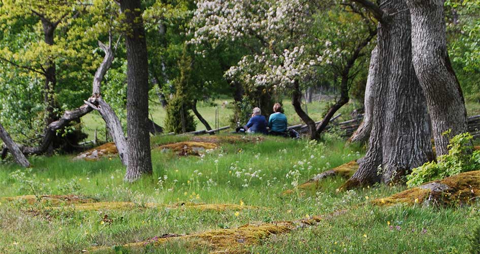 Two women are sitting in a lush forest glade.