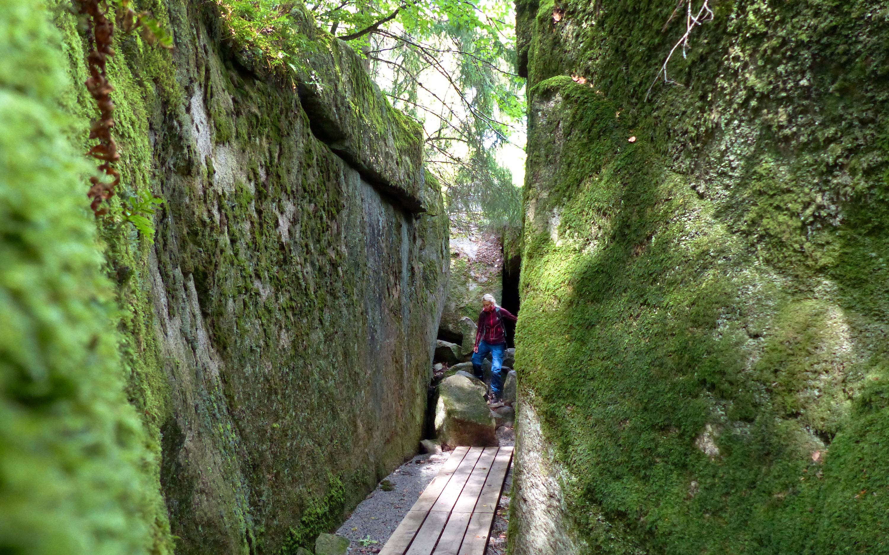 Bergsskreva med mossbeklädda väggar