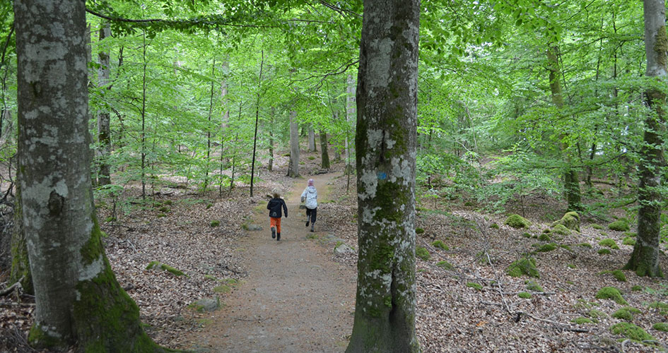 Two children run on a forest path.