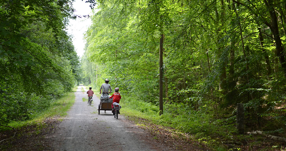 A family is cycling on a dirt road in the forest.