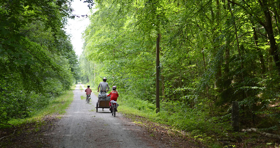 En familj cyklar på en grusväg i skogen.